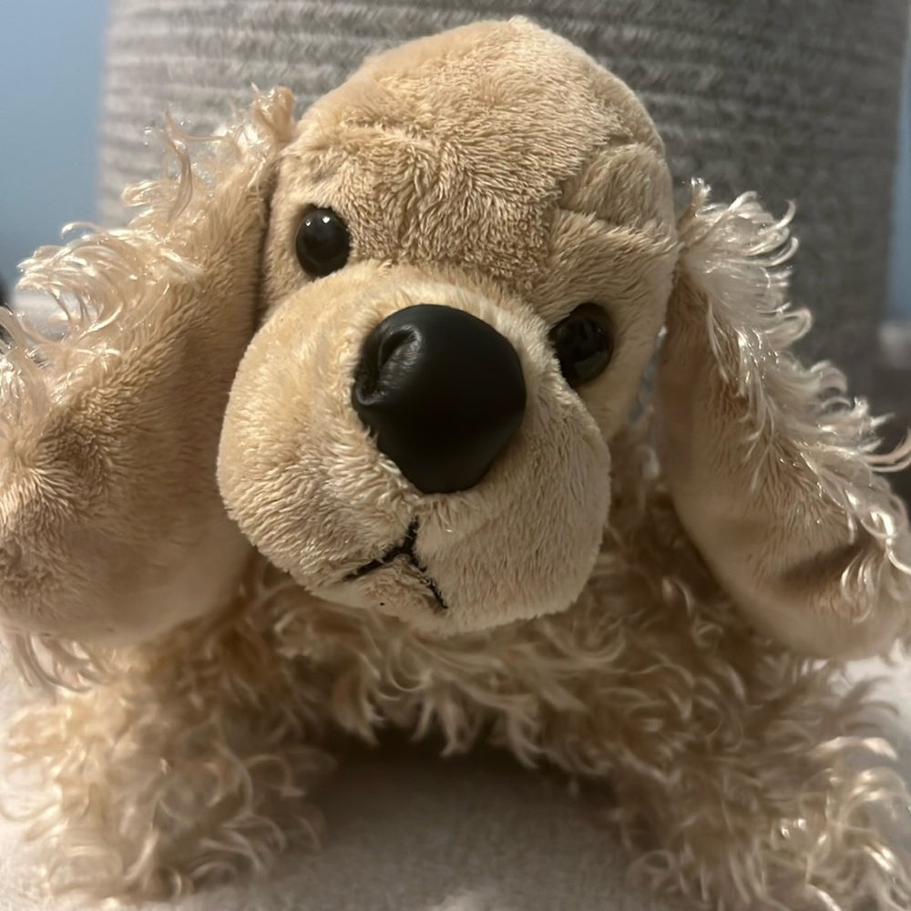 American cocker spaniel webkinz